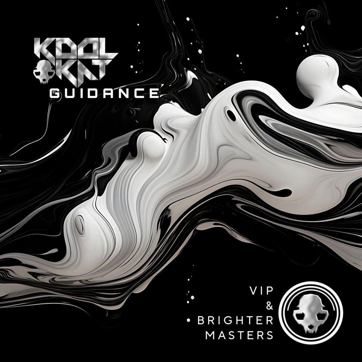Album cover of Guidance (VIP & Brighter Masters)
