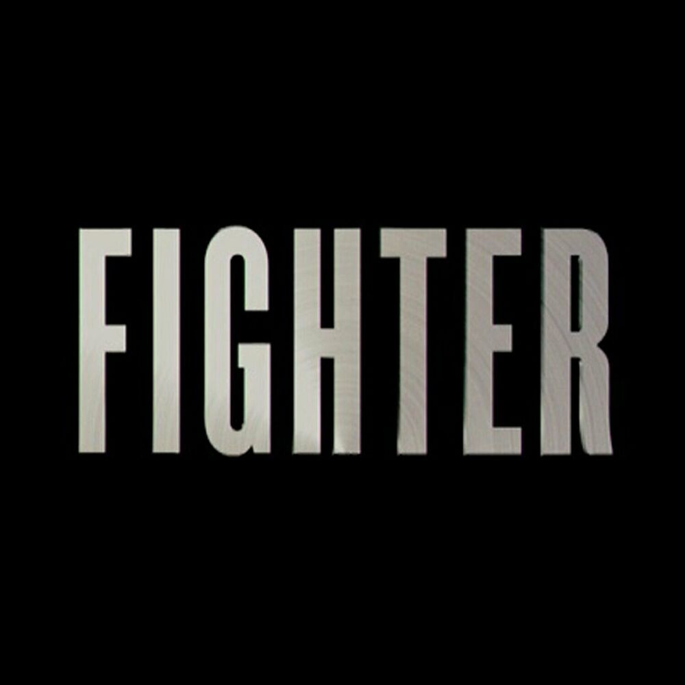 Picture of Fighter