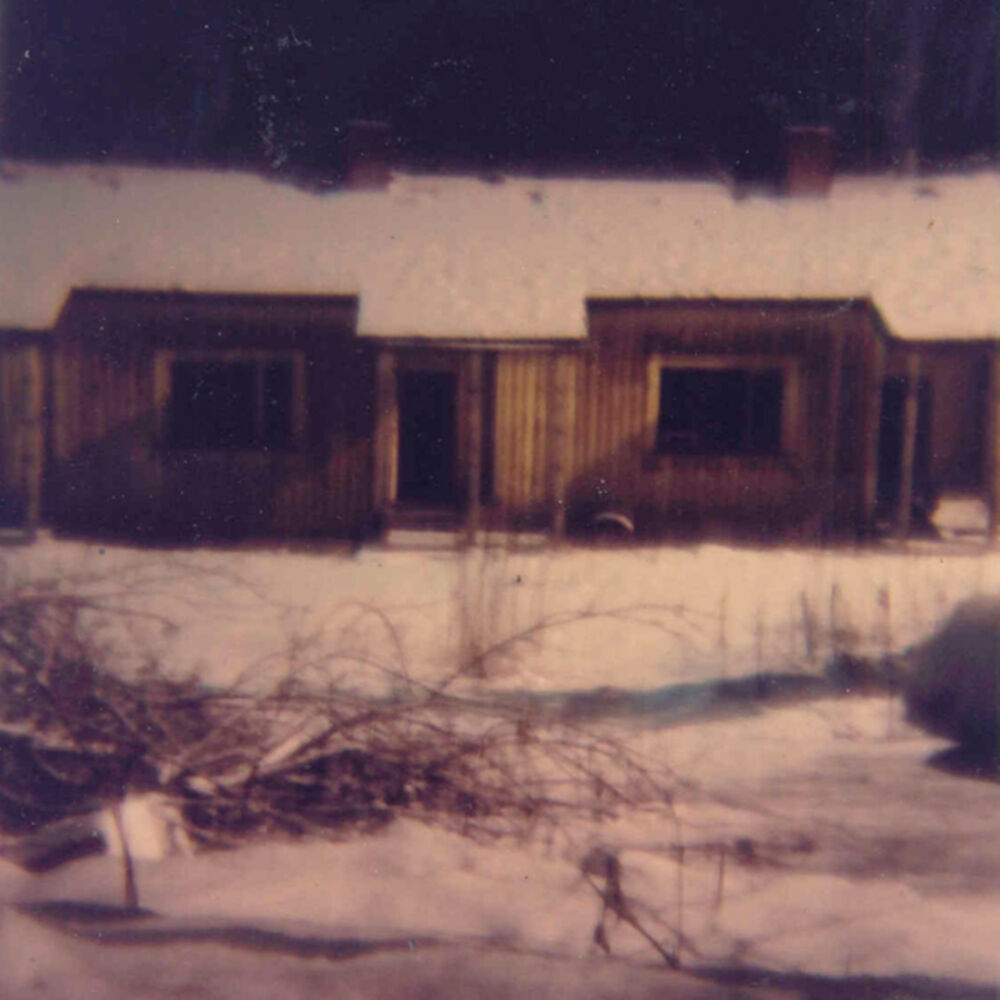 Picture of Laulu laakson kukasta