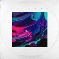 Cover of Invisible