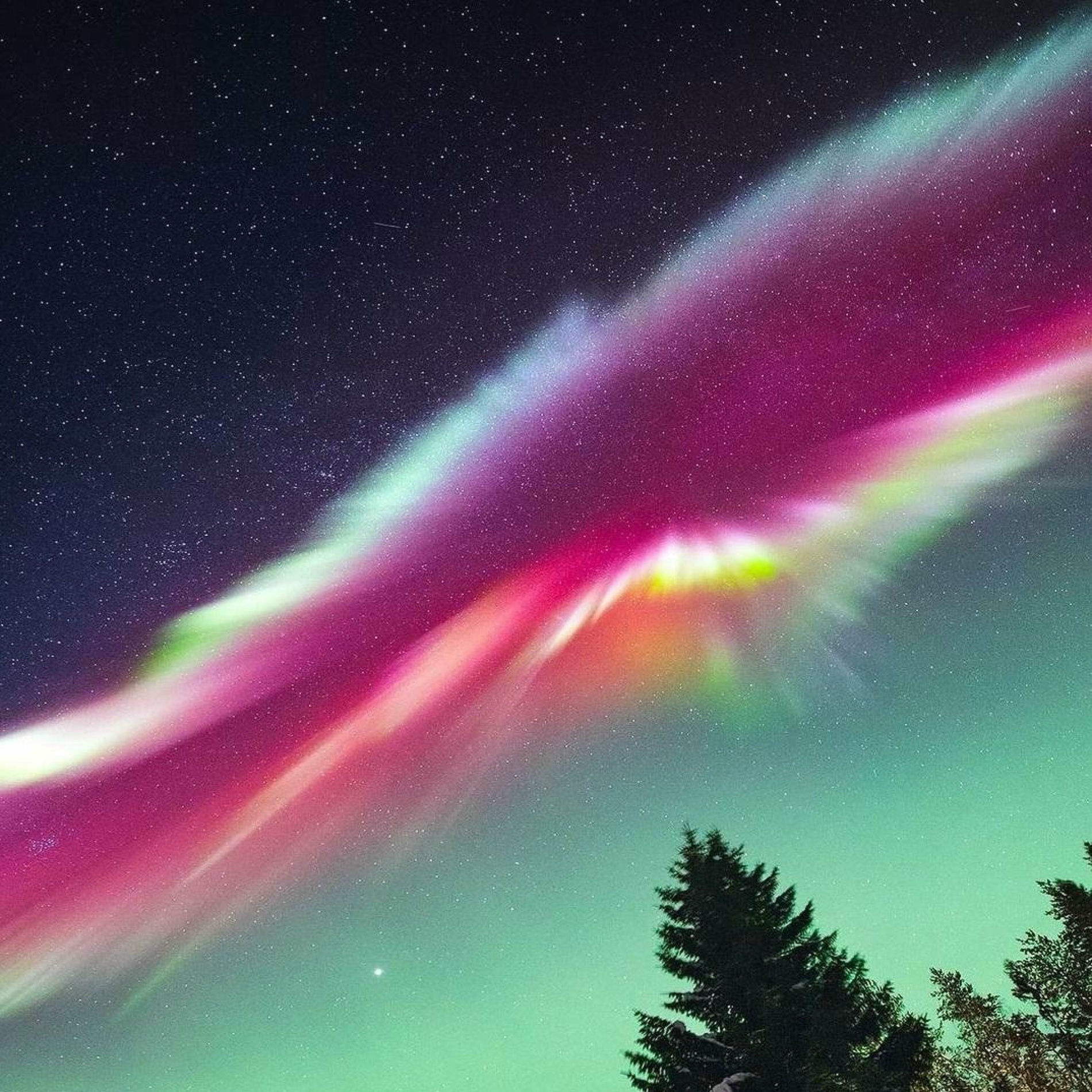 Album cover of In Motion (feat. Alé Araya)