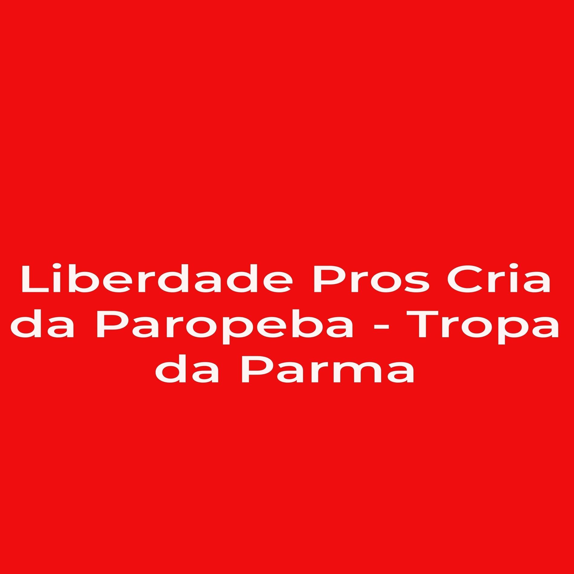 Album cover of Liberdade Pros Cria da Paropeba - Tropa da Parma