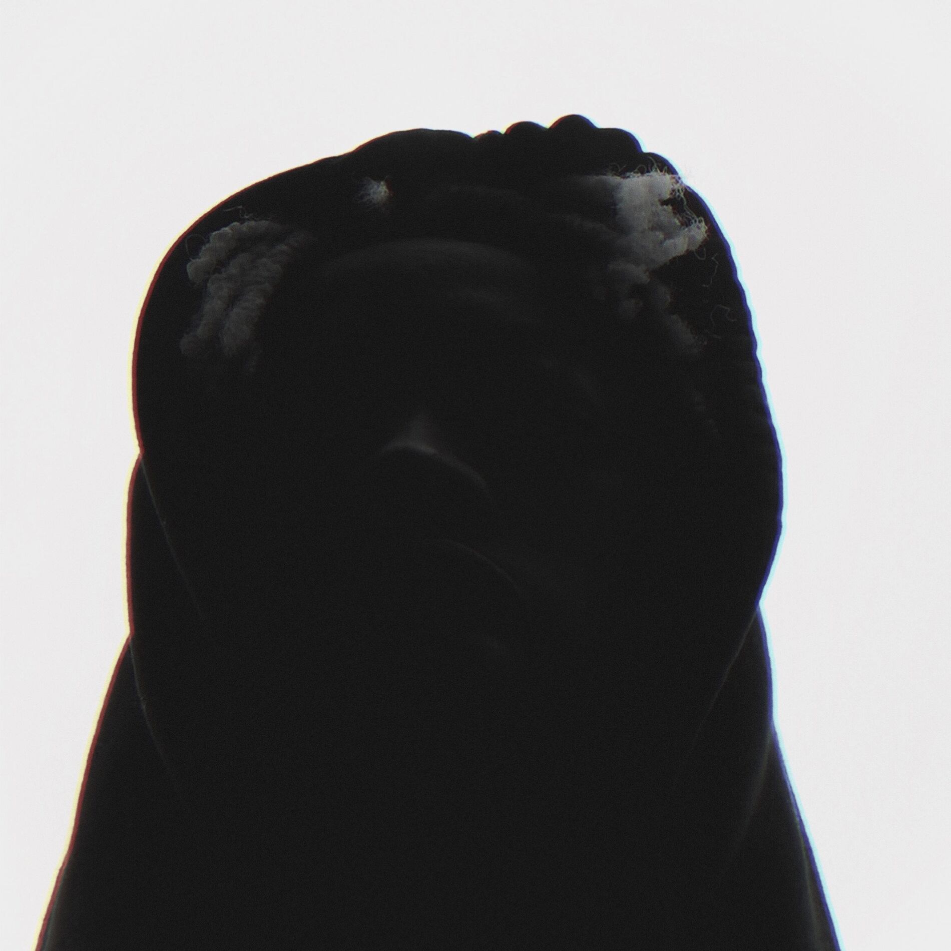 Album cover of CICADA
