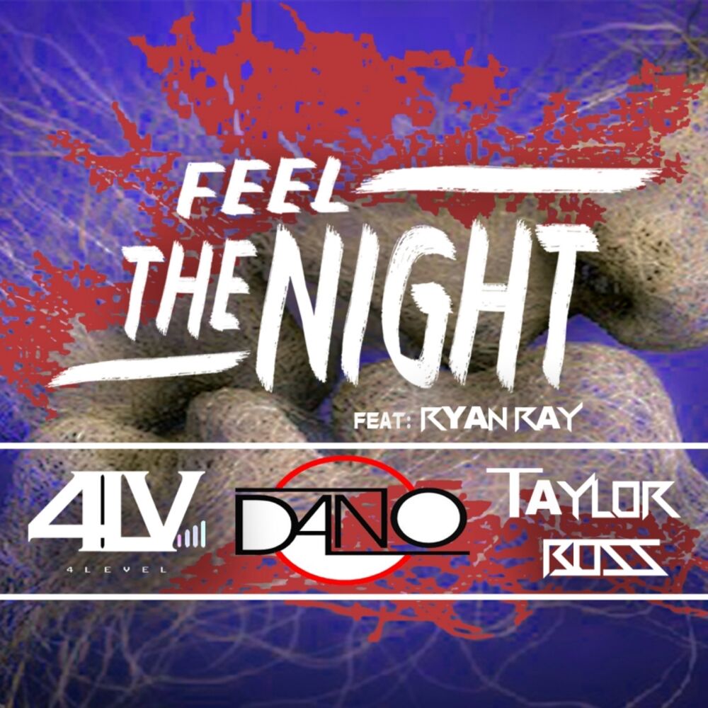 Picture of Feel the night