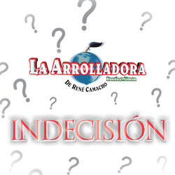 Cover of Indecisión