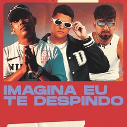 Cover of Imagina eu te despindo