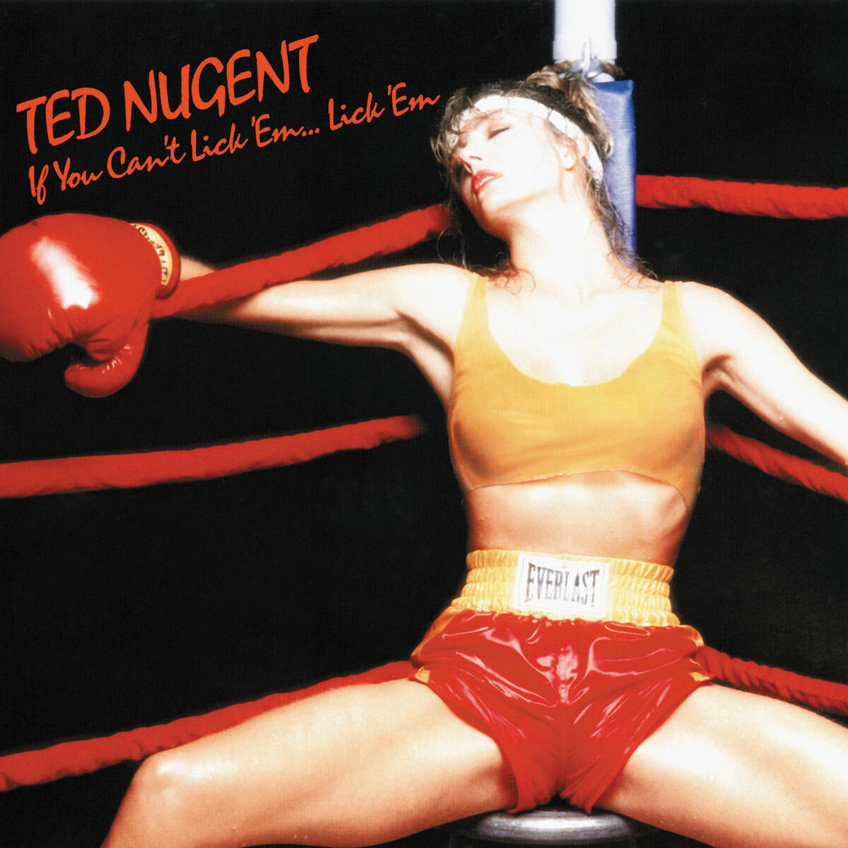 Album cover of If You Can't Lick 'Em...Lick 'Em