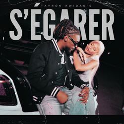 Cover of S'égarer