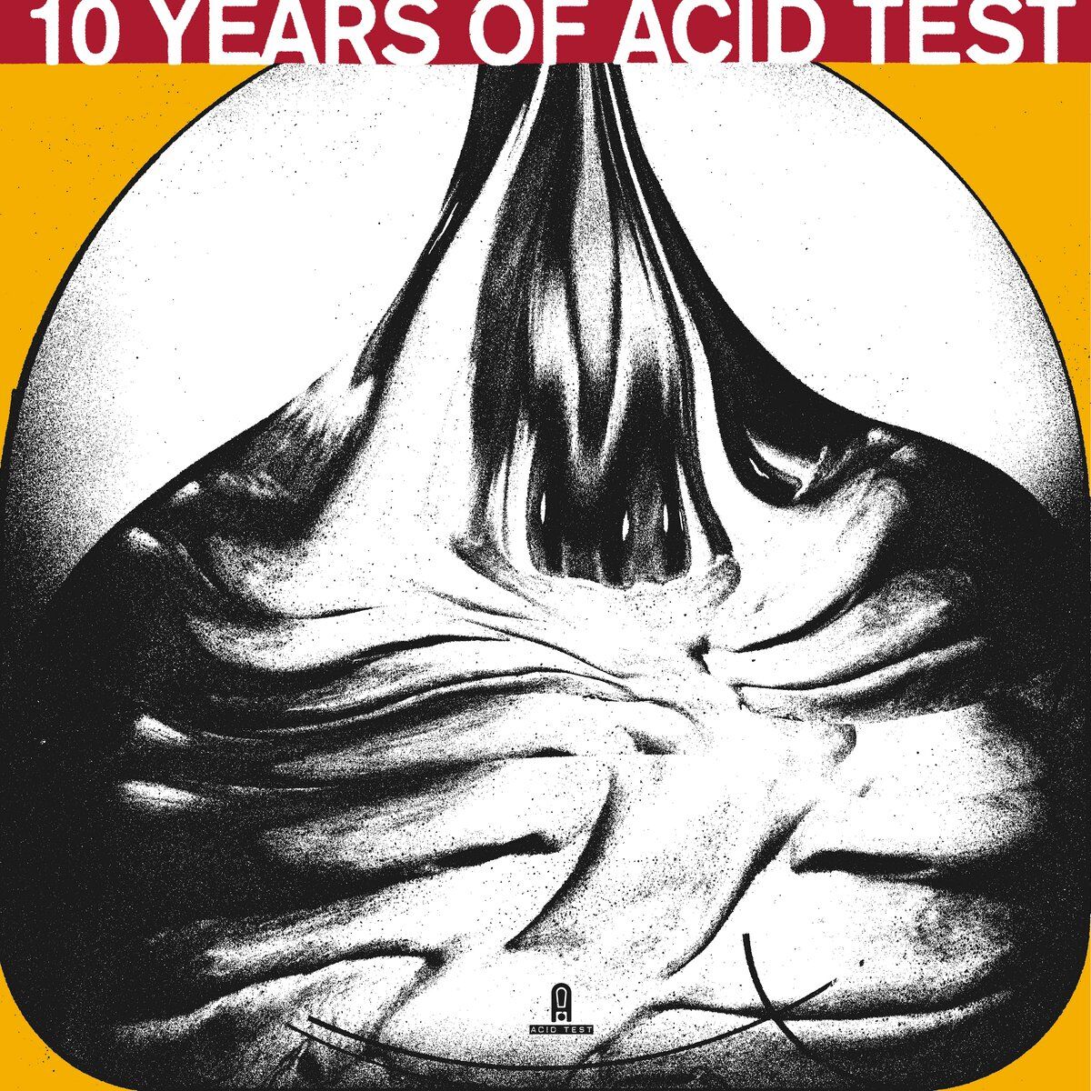 Album cover of 10 Years Of Acid Test