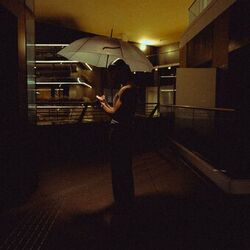 Cover of Solitudine