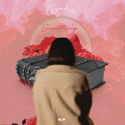 Cover of SOMETHING