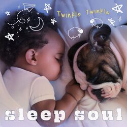 Cover of Twinkle Twinkle