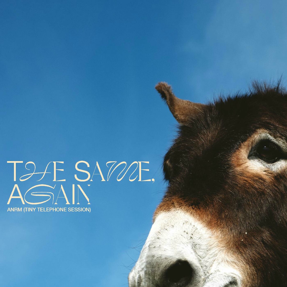 Album cover of The Same Again: ANRM (Tiny Telephone Session)