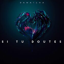 Cover of Si tu doutes