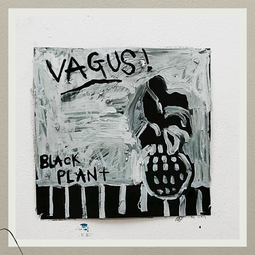 Picture of Black Plant