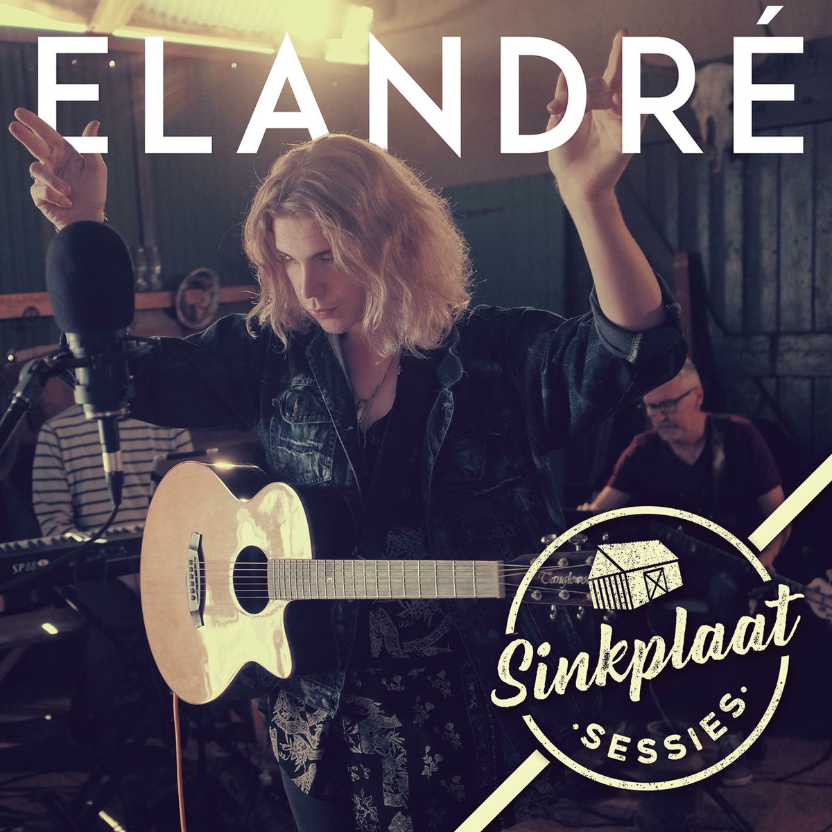 Album cover of Sinkplaat Sessies (Lewendige Opname)