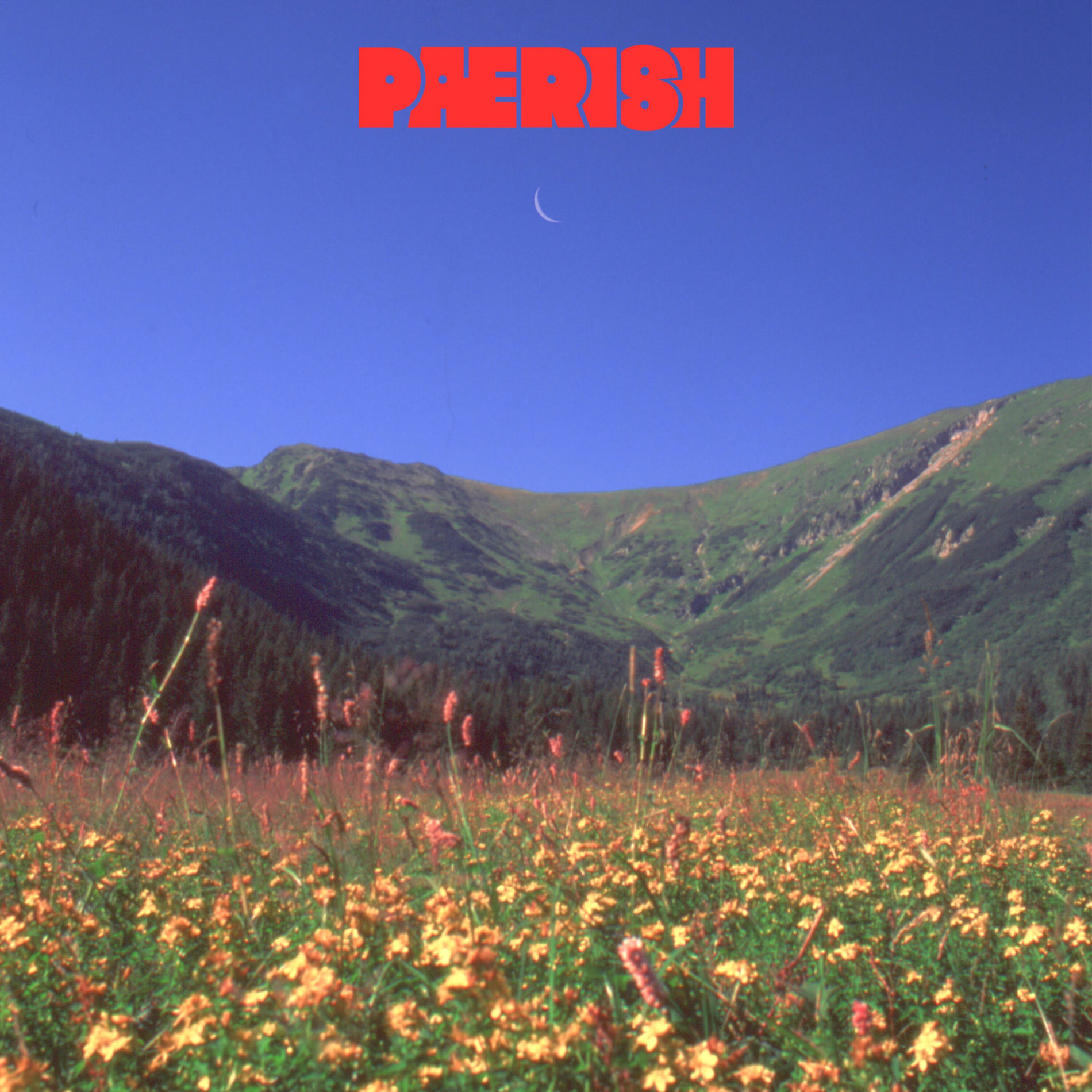 Album cover of Daydreaming