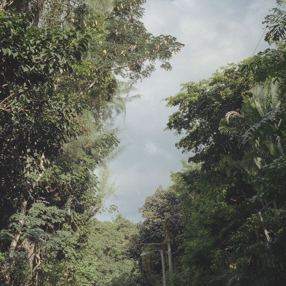 Picture of New Once