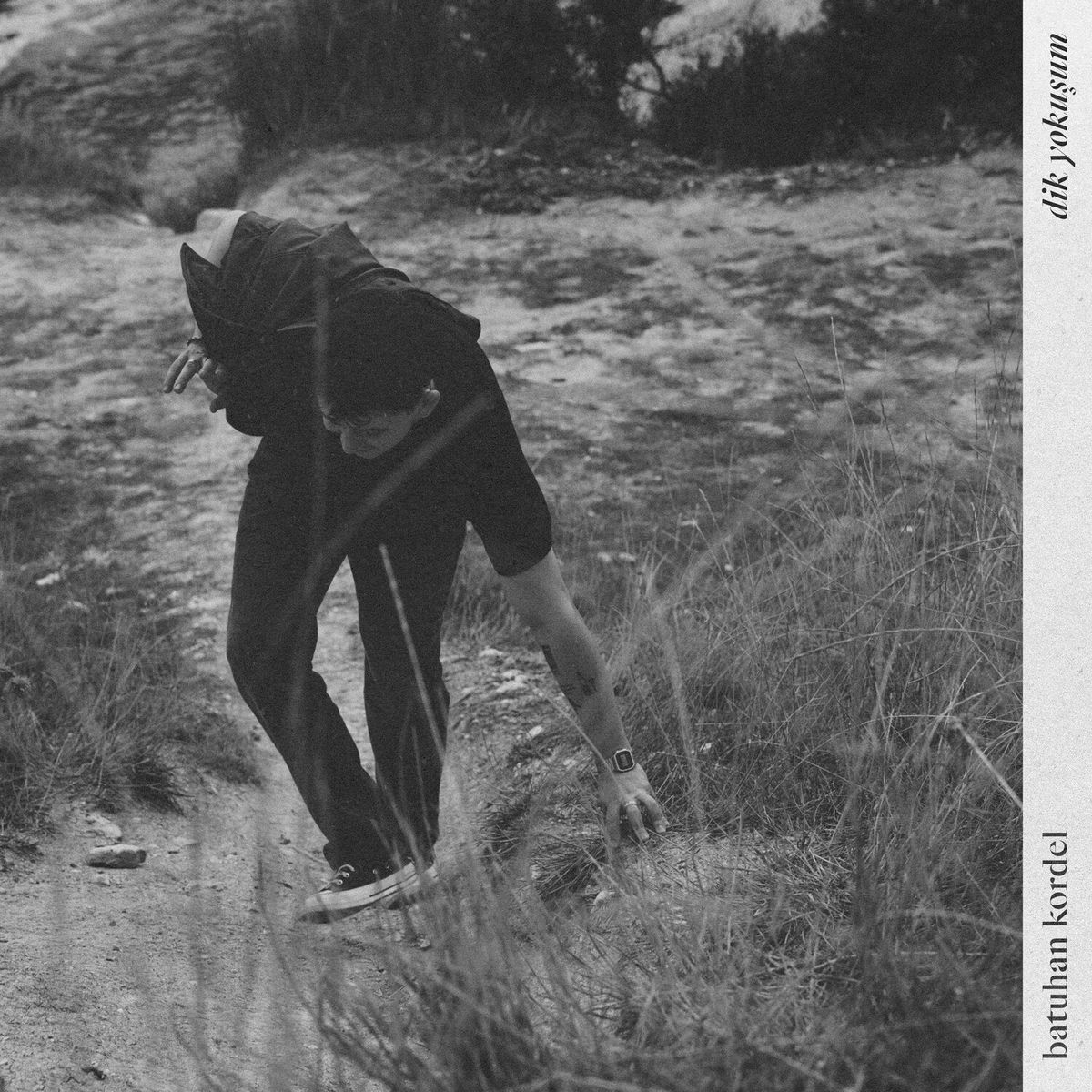 Album cover of Dik Yokuşum
