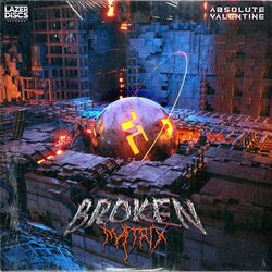 Cover of Broken Matrix