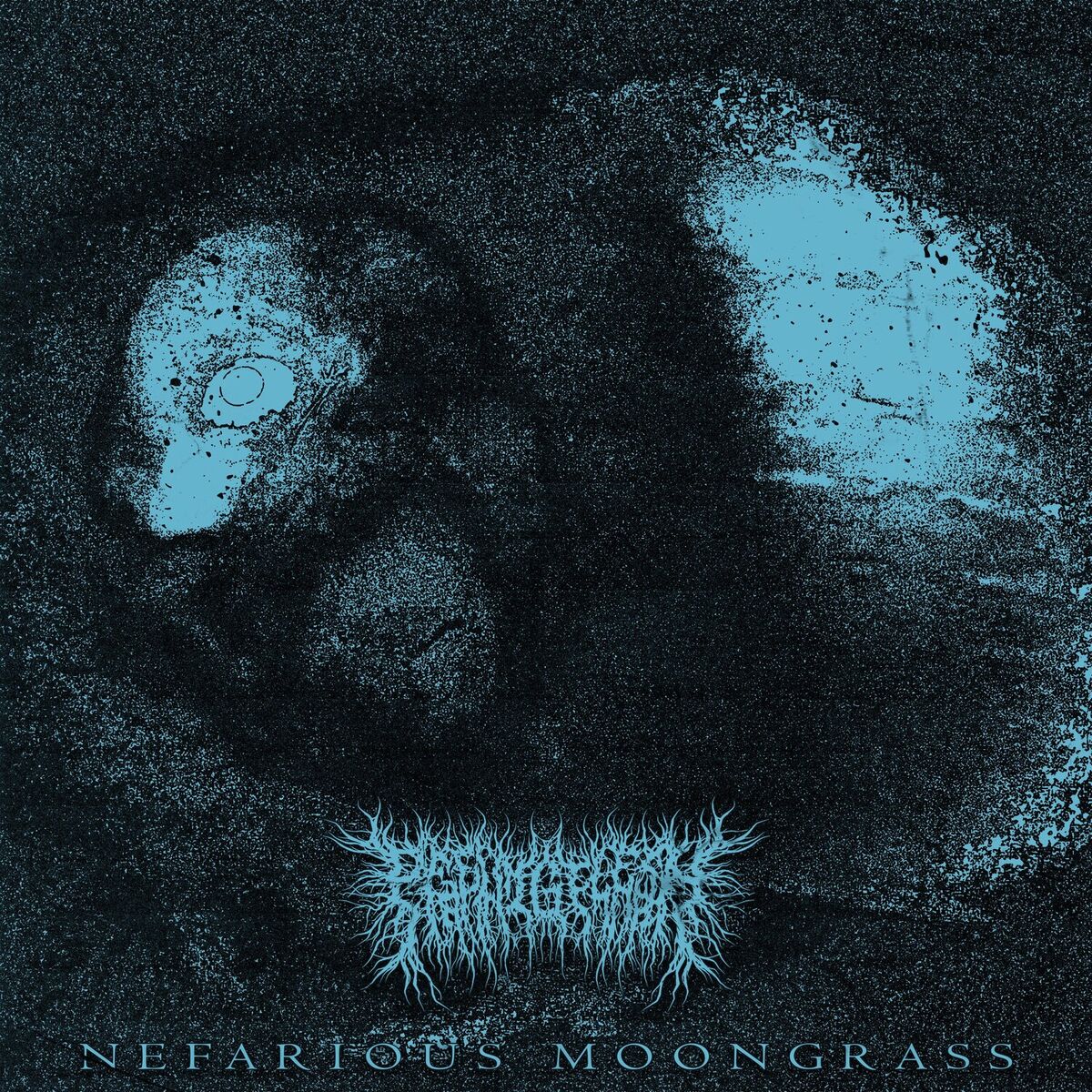 Album cover of Nefarious Moongrass