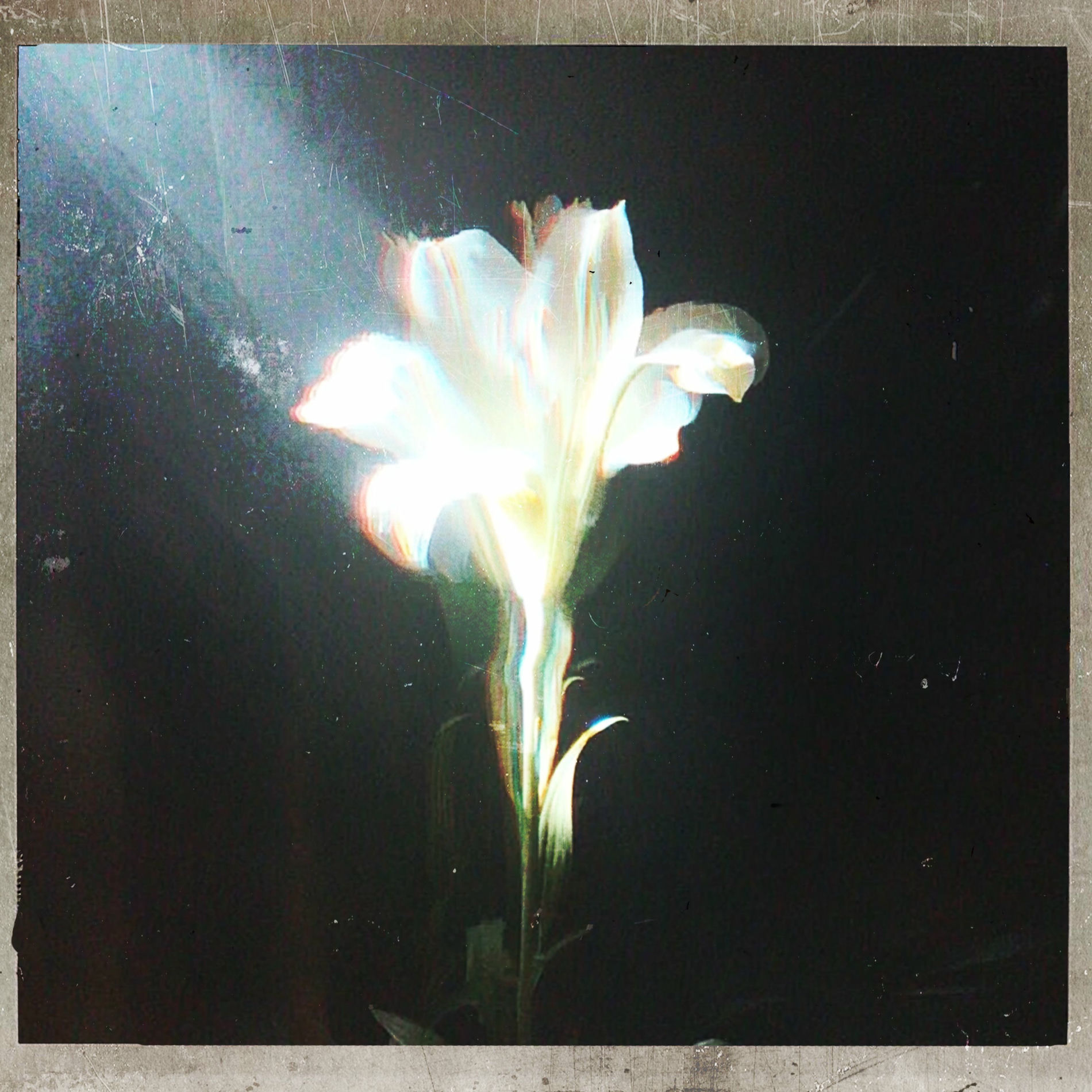 Album cover of Light That Leads Me