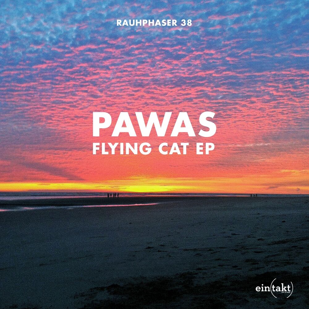 Picture of Flying Cat