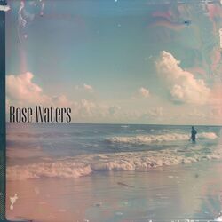 Cover of Rose Waters