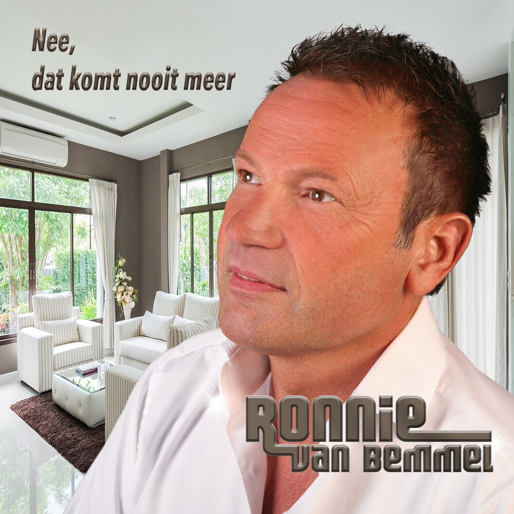 Picture of Nee, dat komt nooit meer