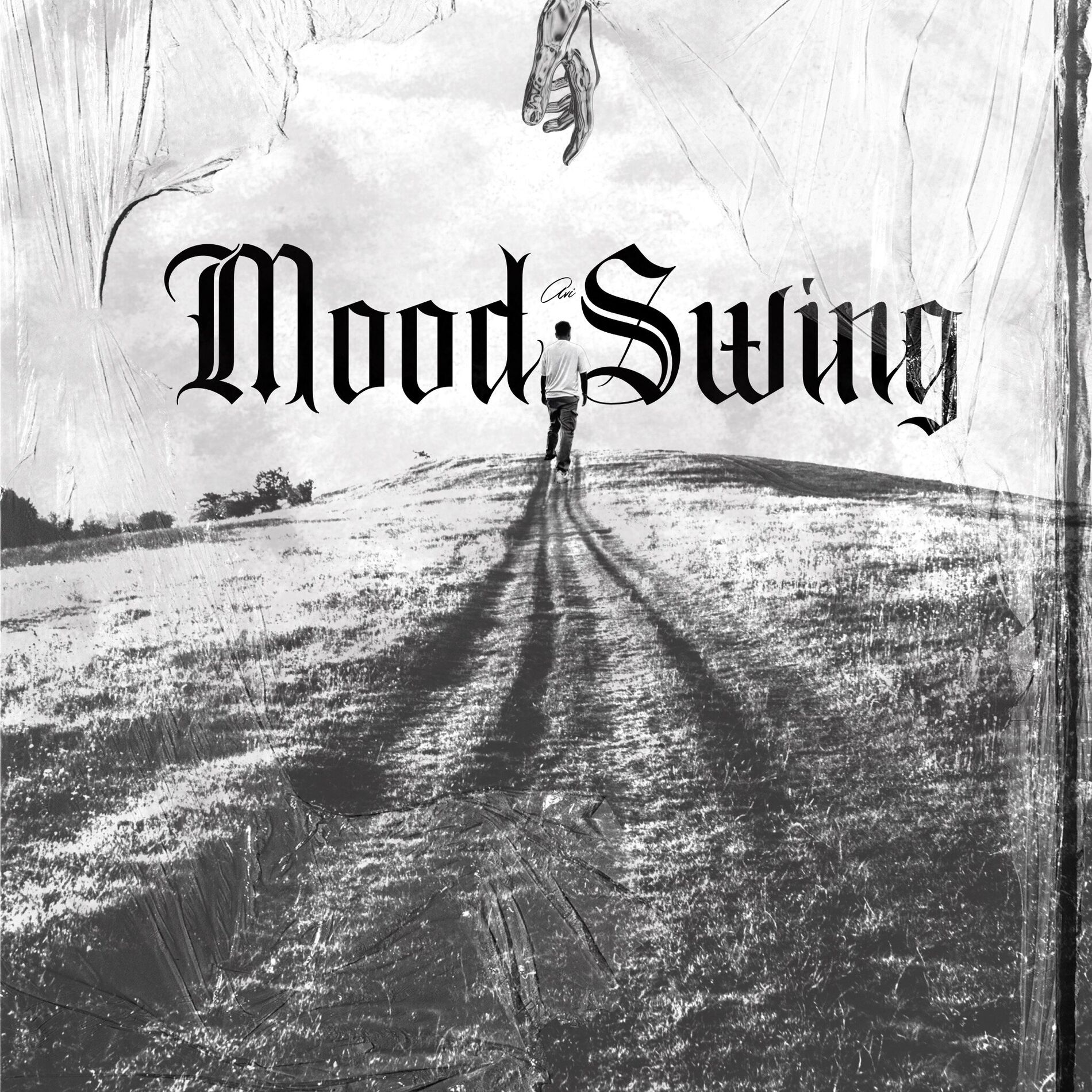 Album cover of Mood Swing