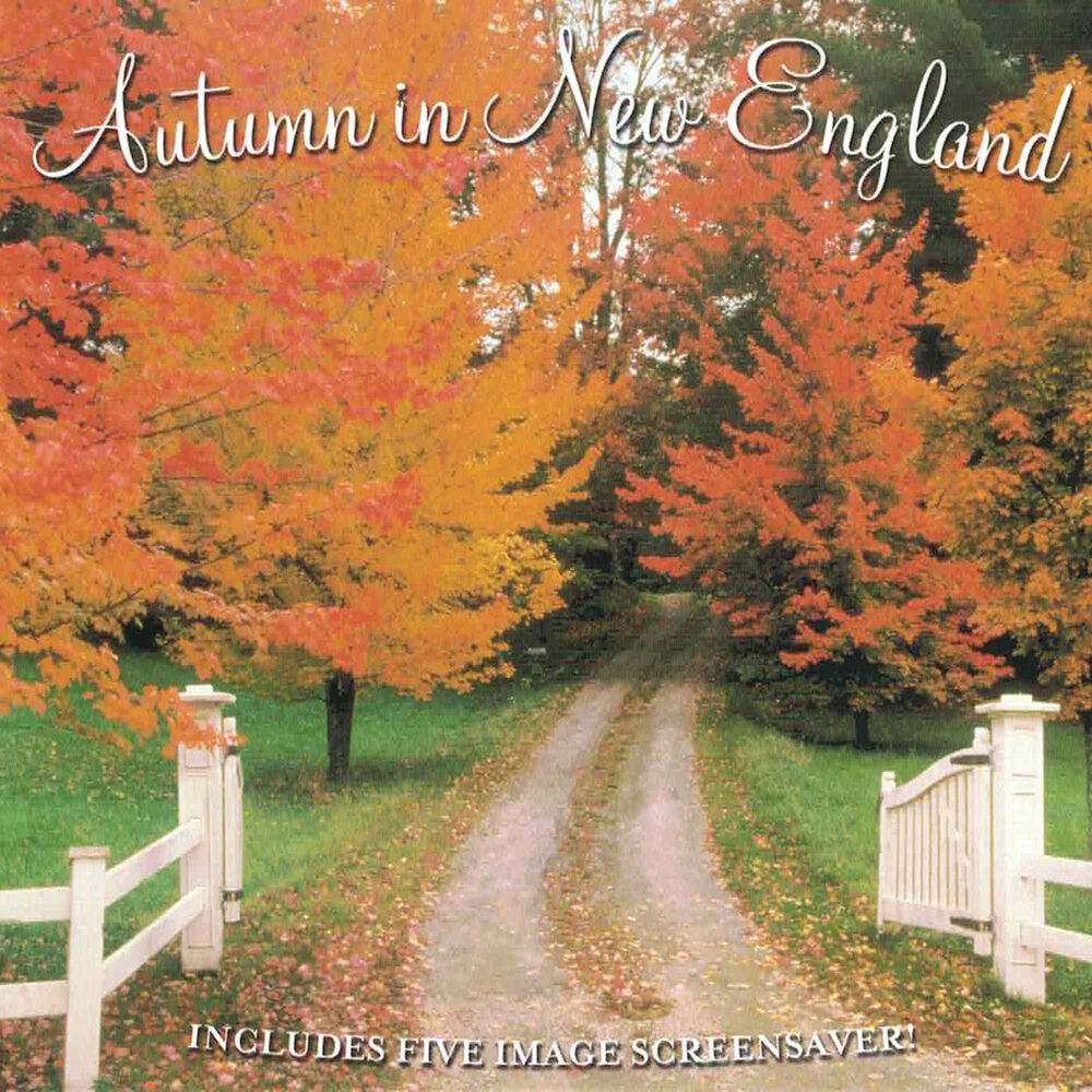 Picture of Autumn in New England