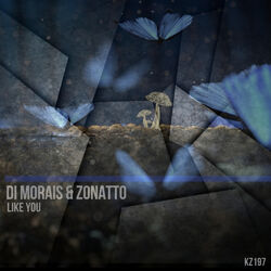 Cover of Like You