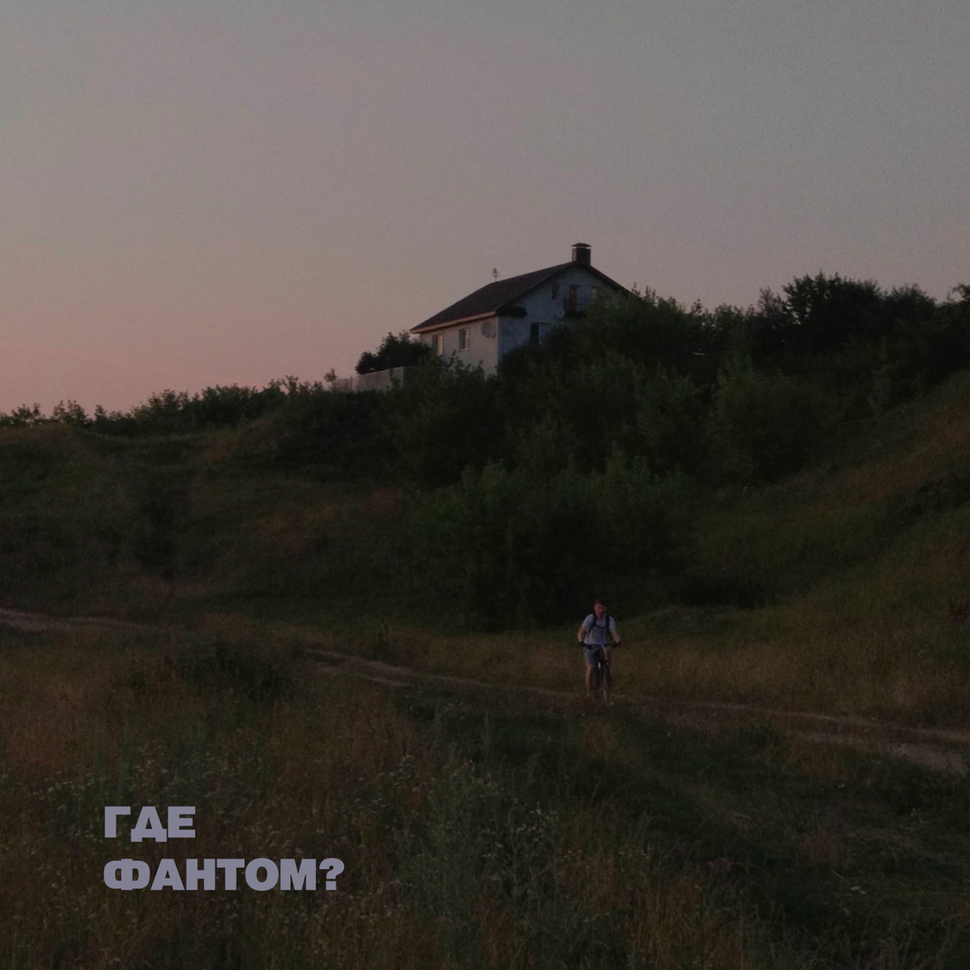 Album cover of В сумерках