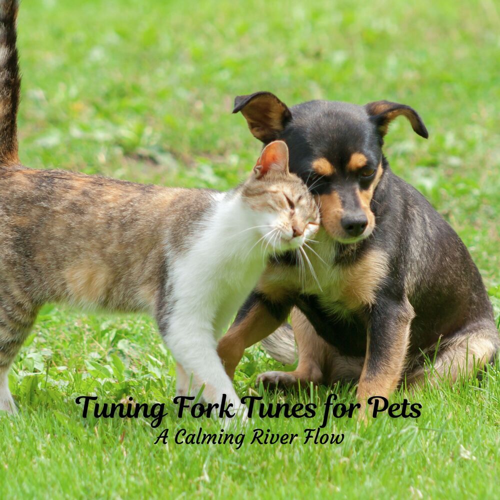 Picture of Tuning Fork Tunes for Pets: A Calming River Flow