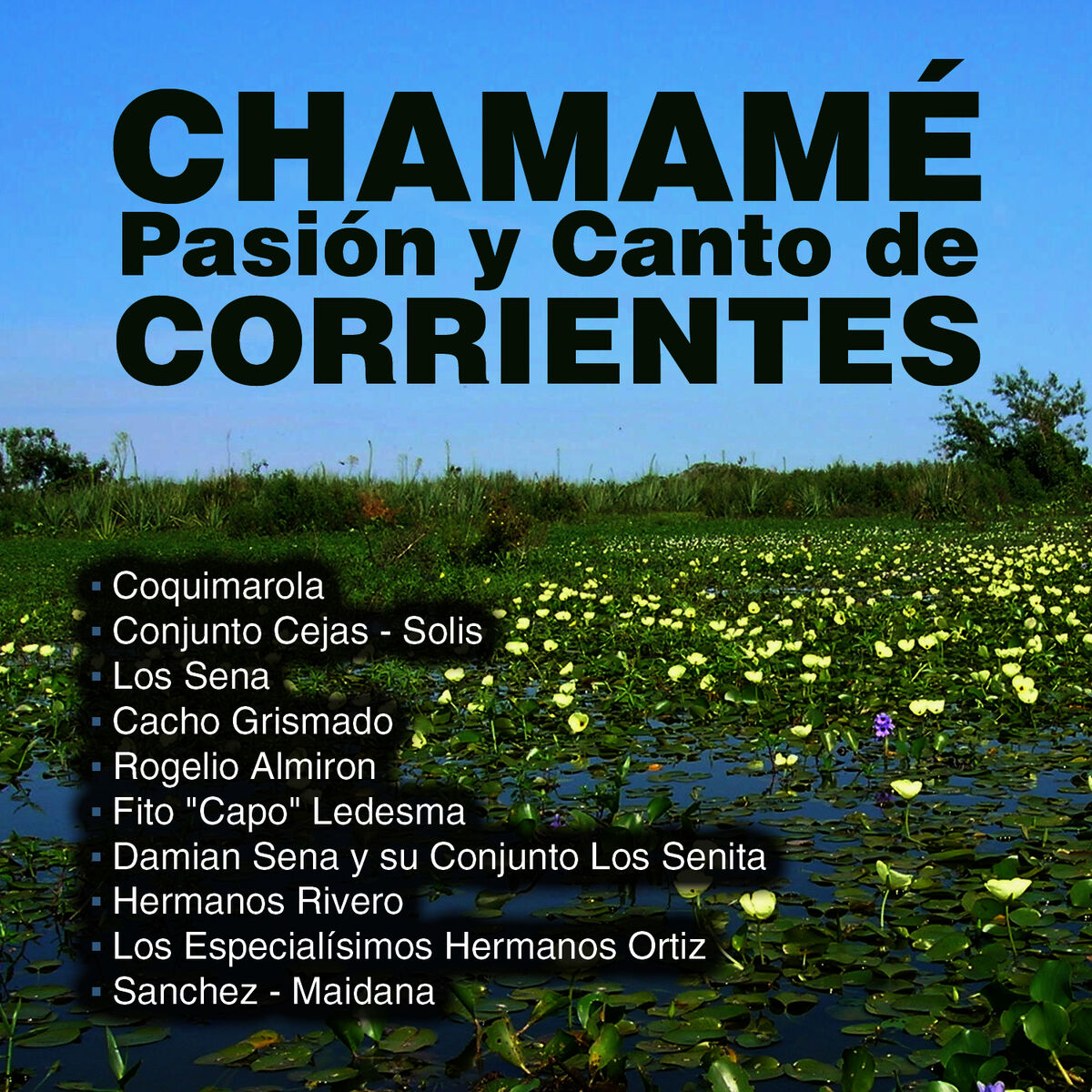 Album cover of Chamamé, Pasión y Canto de Corrientes