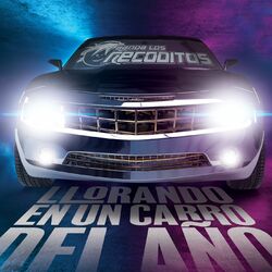 Cover of Llorando En Un Carro Del Año