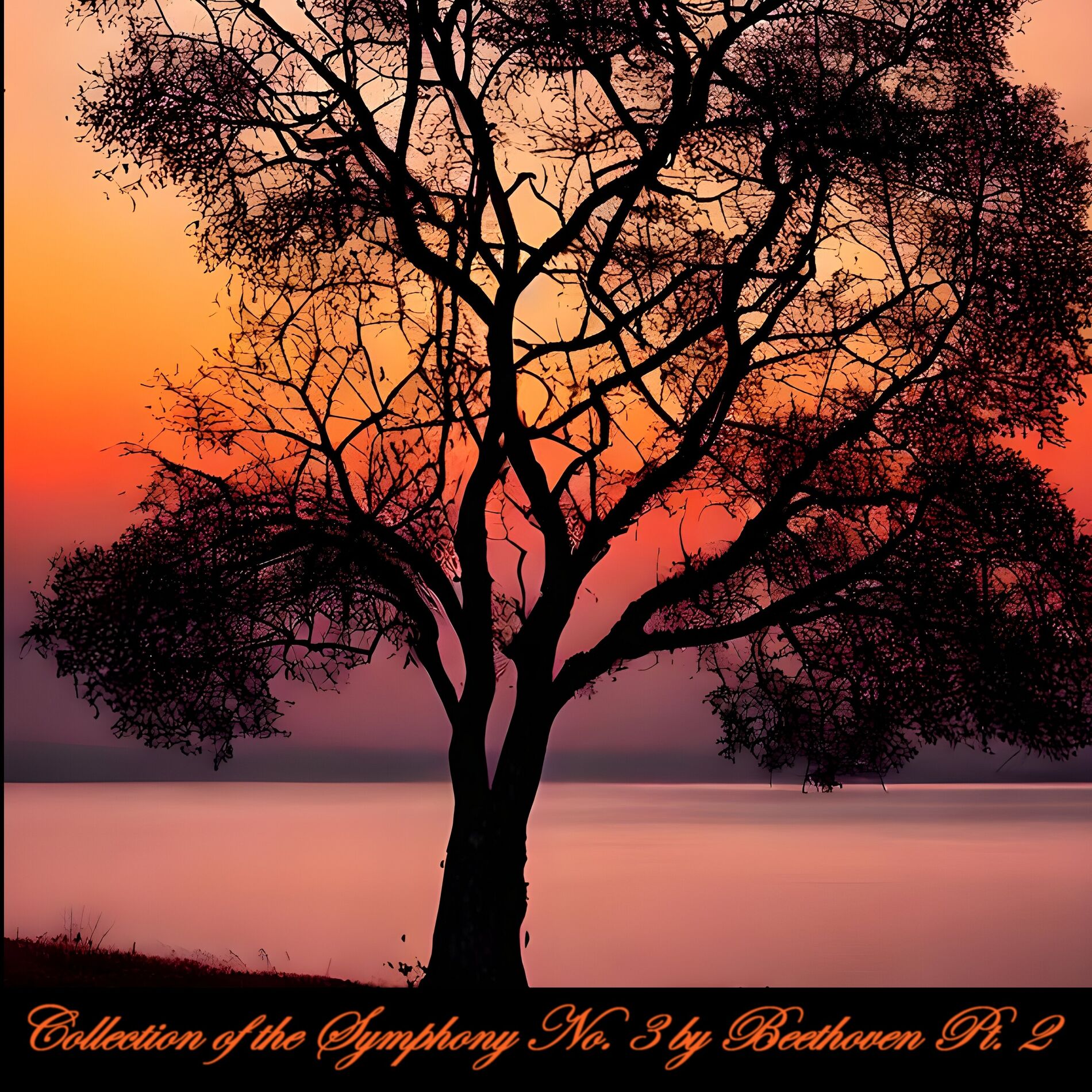 Album cover of Collection of the Symphony No. 3 by Beethoven, pt. 2