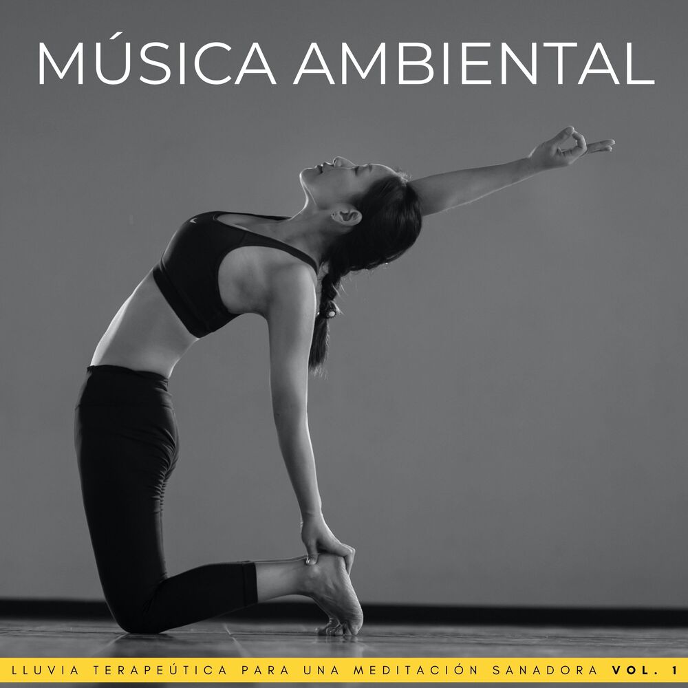 Picture of Música Ambiental: Lluvia Terapeútica Para Una Meditación Sanadora Vol. 1