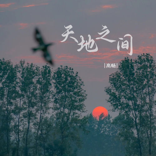 天地之间 (DJ版)