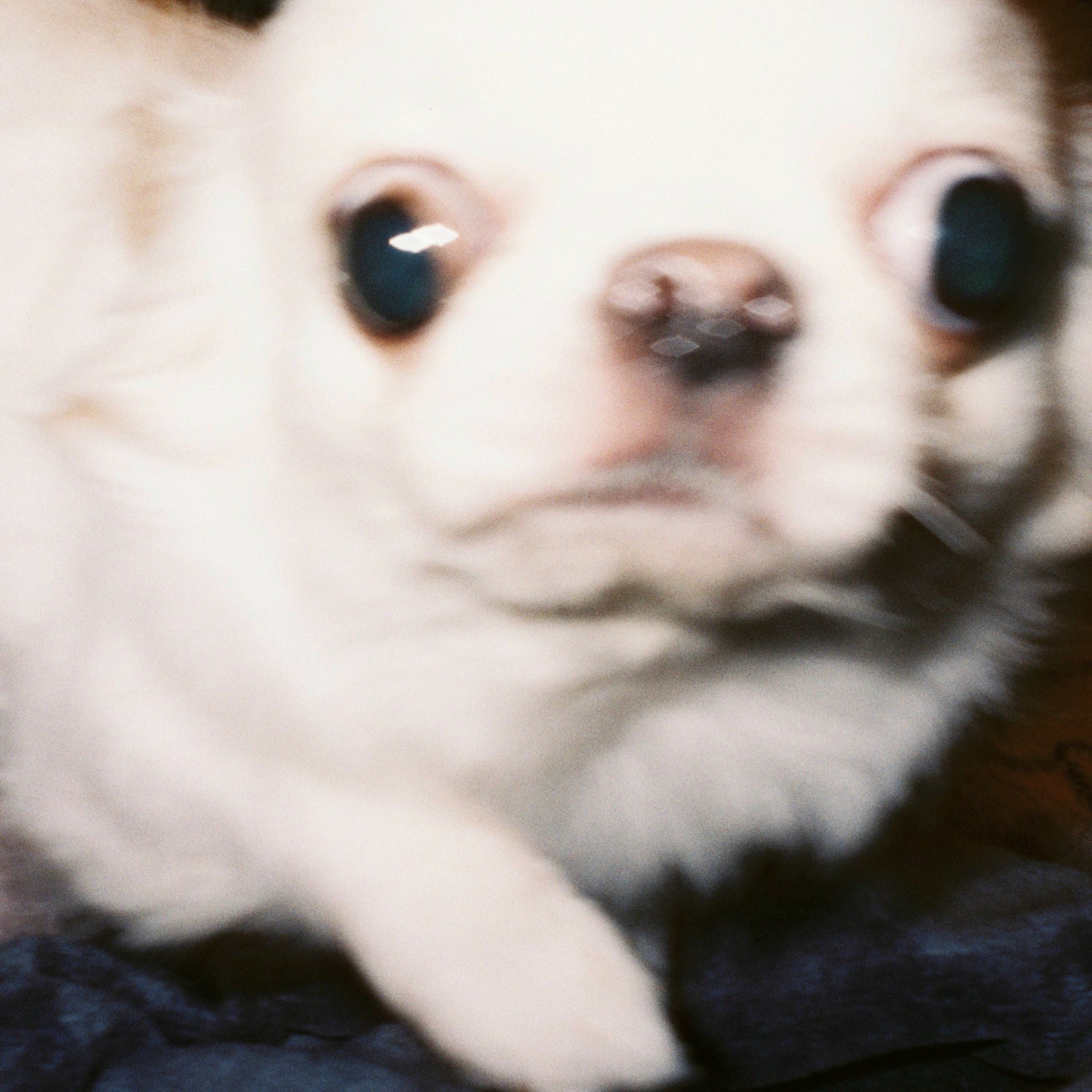 Album cover of Baguri (feat. kZm, Awich, PETZ, MonyHorse & JNKMN)