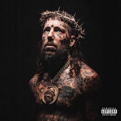 Cover of via crucis