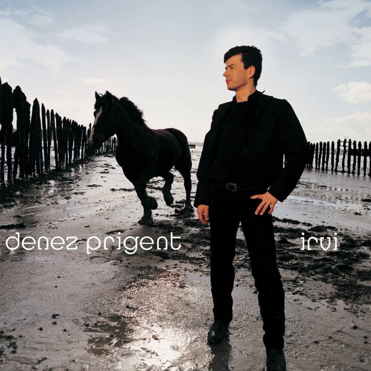 Album cover of Irvi