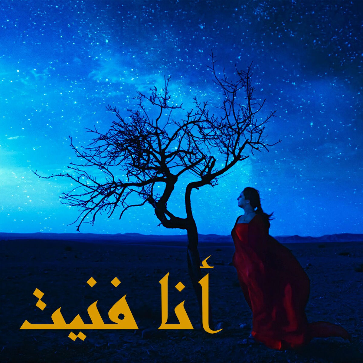 Album cover of Ana Fnit