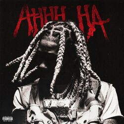 Cover of AHHH HA