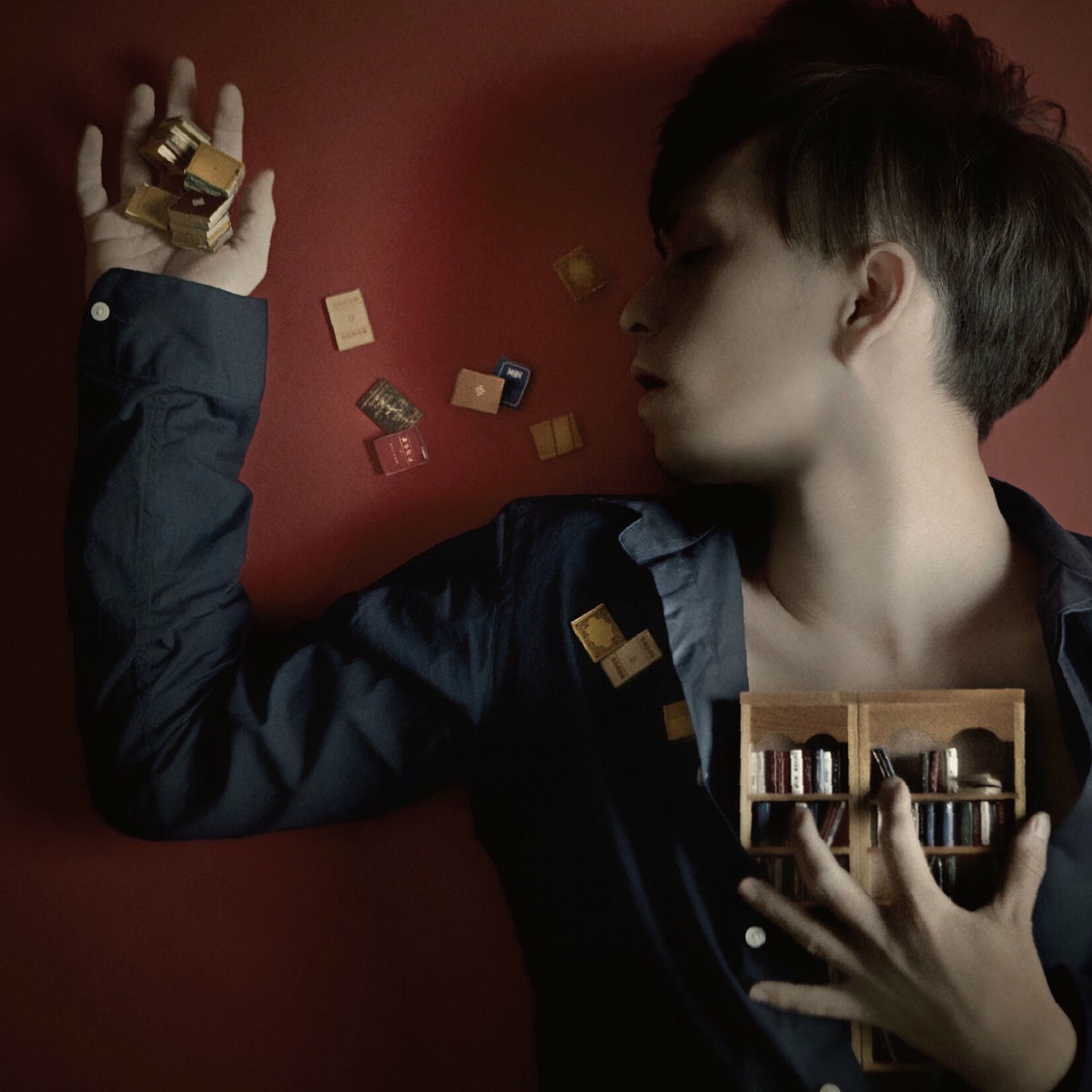 Album cover of Shinzoubunko