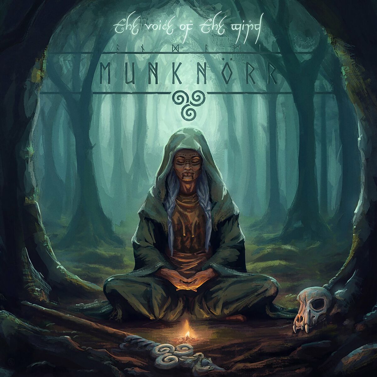 Album cover of The Voice of the Wind
