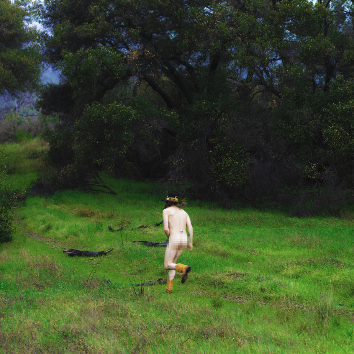 Album cover of Hippieland