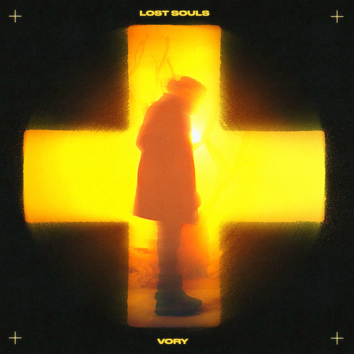 Album cover of Lost Souls