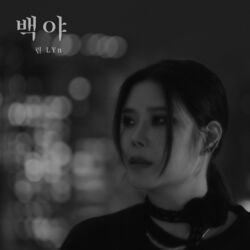 Cover of Night We Shine