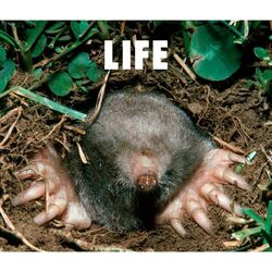 Cover of LIFE